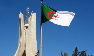 Algérie numéro 1
