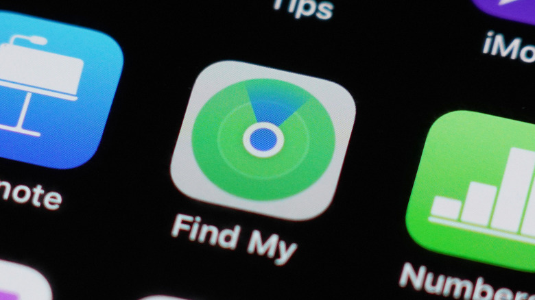 The Find My app icon on an iPhone screen.