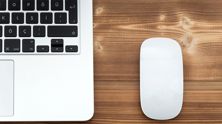 A Magic Mouse next to a MacBook Pro.