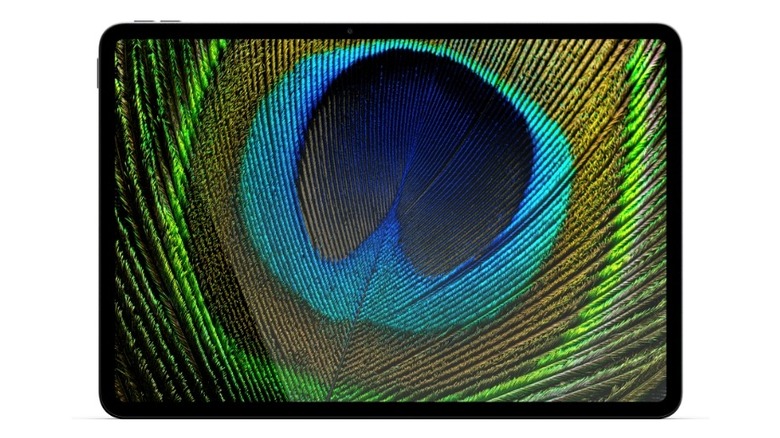 An Alexa Tablet 12 Pro displaying a peacock feather.